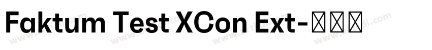 Faktum Test XCon Ext字体转换